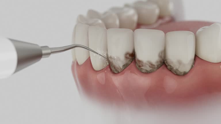 Reliable Dental contractor in Somers Point, NJ by Dentist Open Now